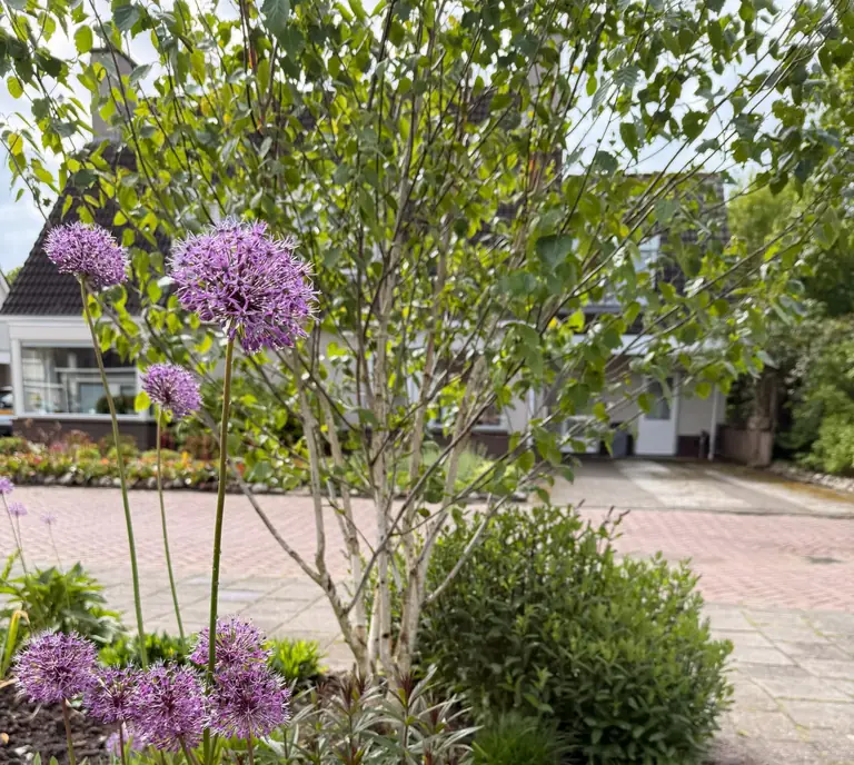 Sfeervolle tuin aangelegd door Door Peter Hoveniers